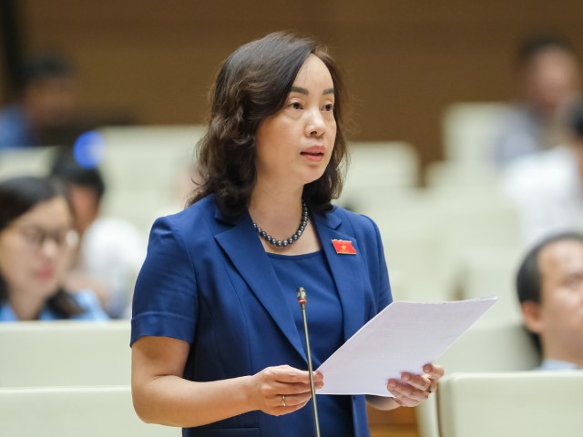 ĐBQH NGUYỄN THỊ KIM ANH: CẦN PHÂN ĐỊNH RẠCH RÒI PHẠM VI HOẠT ĐỘNG, ĐỐI TƯỢNG, TRÌNH TỰ, THỦ TỤC GIỮA THANH TRA HÀNH CHÍNH VỚI THANH TRA CHUYÊN NGÀNH.